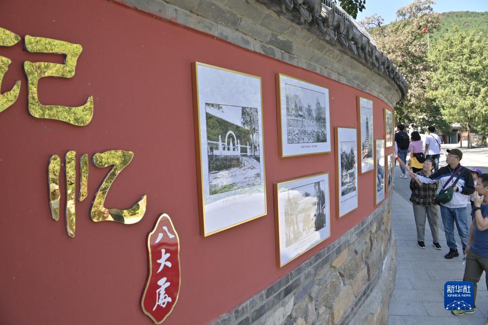 串子两场赢一半